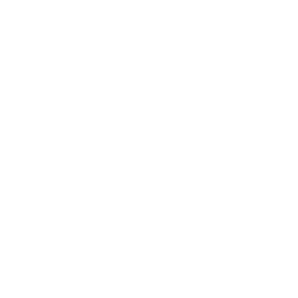 icon data enginner